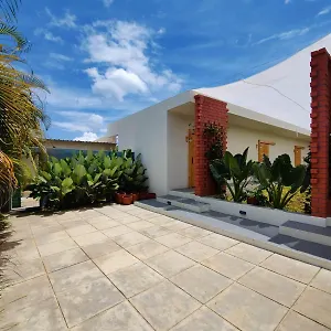 Tropicopia Mysore